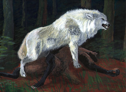 sswuf.jpg (38659 bytes)