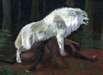 Protector